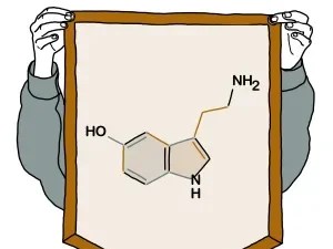 Serotonin